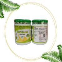 Proraise Protein powder