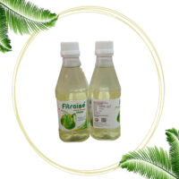 Fitraise Lemon energy drink